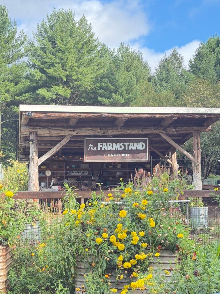 The Farm Stand by Dairy Boy – Connecticut